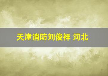 天津消防刘俊祥 河北